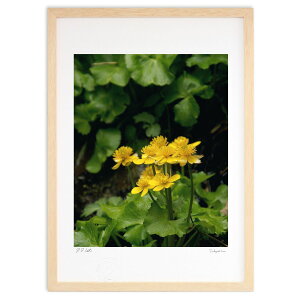 �ŉ� ���C�̉� (Agura)�C���e���A �Ǌ|�� �z���� ���i�� �|�X�^�[ �A�[�g ���r���O ���ւɏ��� ���� �v���[���g ���_�� �A�[�g�t���[��