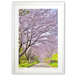 �ŉ� �t�����@������ (mitan)�C���e���A �Ǌ|�� �z���� ���i�� �|�X�^�[ �A�[�g ���r���O ���ւɏ��� ���� �v���[���g ���_�� �A�[�g�t���[��