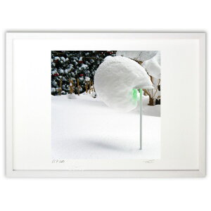 �ŉ� Snow pallet 9-3 (�F�J�r�F)