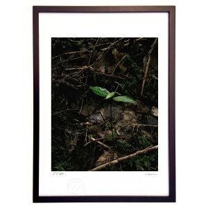 �ŉ� �X�̎����� (Agura)�C���e���A �Ǌ|�� �z���� ���i�� �|�X�^�[ �A�[�g ���r���O ���ւɏ��� ���� �v���[���g ���_�� �A�[�g�t���[��