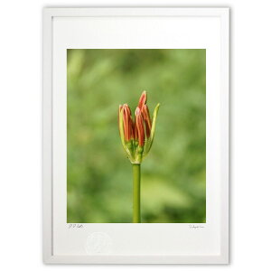 �ŉ� �Q (Agura)�C���e���A �Ǌ|�� �z���� ���i�� �|�X�^�[ �A�[�g ���r���O ���ւɏ��� ���� �v���[���g ���_�� �A�[�g�t���[��