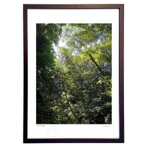 �ŉ� �ĂƖؘR��� (Ash Artist)�C���e���A �Ǌ|�� �z���� ���i�� �|�X�^�[ �A�[�g ���r���O ���ւɏ��� ���� �v���[���g ���_�� �A�[�g�t���[��