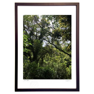 �ŉ� �V�΂̋G�� (Ash Artist)�C���e���A �Ǌ|�� �z���� ���i�� �|�X�^�[ �A�[�g ���r���O ���ւɏ��� ���� �v���[���g ���_�� �A�[�g�t���[��