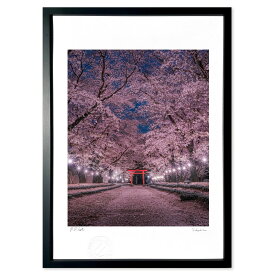 版画 Sakura (Kouki)インテリア 壁掛け 額入り 風景画 ポスター アート リビング 玄関に飾る 風水 プレゼント モダン アートフレーム