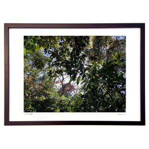 �ŉ� �ԉ��� (Ash Artist)�C���e���A �Ǌ|�� �z���� ���i�� �|�X�^�[ �A�[�g ���r���O ���ւɏ��� ���� �v���[���g ���_�� �A�[�g�t���[��