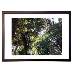 �ŉ� �H�̗t�X (Ash Artist)�C���e���A �Ǌ|�� �z���� ���i�� �|�X�^�[ �A�[�g ���r���O ���ւɏ��� ���� �v���[���g ���_�� �A�[�g�t���[��