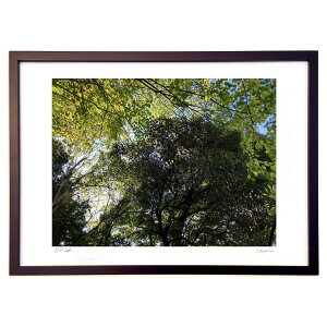 �ŉ� �~�h���̃V�����[ (Ash Artist)�C���e���A �Ǌ|�� �z���� ���i�� �|�X�^�[ �A�[�g ���r���O ���ւɏ��� ���� �v���[���g ���_�� �A�[�g�t���[��