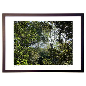 �ŉ� �R�R���x�� (Ash Artist)�C���e���A �Ǌ|�� �z���� ���i�� �|�X�^�[ �A�[�g ���r���O ���ւɏ��� ���� �v���[���g ���_�� �A�[�g�t���[��