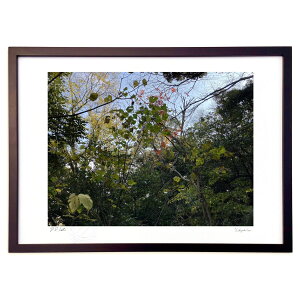 �ŉ� �ʂ肠���₩ (Ash Artist)�C���e���A �Ǌ|�� �z���� ���i�� �|�X�^�[ �A�[�g ���r���O ���ւɏ��� ���� �v���[���g ���_�� �A�[�g�t���[��