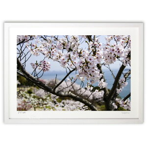 �ŉ� ���˓��C�ƍ� (okamoto)�C���e���A �Ǌ|�� �z���� ���i�� �|�X�^�[ �A�[�g ���r���O ���ւɏ��� ���� �v���[���g ���_�� �A�[�g�t���[��