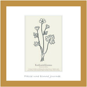 A[gt[ 䂤pPbg ~jA[gRNV /CeA z z i G |X^[ A[g A[gpl rO  v[g _ A[gt[  STCY