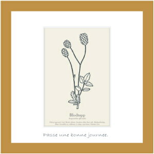 A[gt[ 䂤pPbg ~jA[gRNV /CeA z z i G |X^[ A[g A[gpl rO  v[g _ A[gt[  STCY