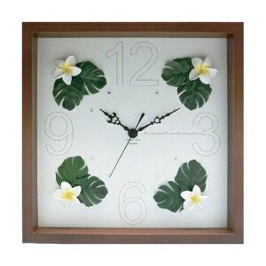 yI|Cg100obNzv nCANbN30 vAYE/BR/|v uv EH[NbN CeA Ǌ|  Mtg v[g Vzj   킢 A