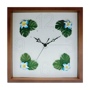 yI|Cg100obNzv nCANbN30 vABL/BR/|v uv EH[NbN CeA Ǌ|  Mtg v[g Vzj   킢 A