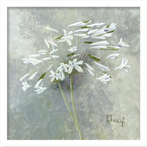 yI|Cg100obNzG HEIGL FRANZ tc wCO ENCHANTED I(G`ebh1)/CeA z z i G |X^[ A[g A[gpl rO  v[g 