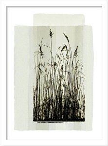 G VERBEEK & VAN DEN BROEK GARDEN PRAIRIE I(K[f v[[1)/CeA z z i G |X^[ A[g A[gpl rO  v[g _ A[gt[  3LT