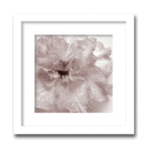 yX[p[SALE10OFFzA[gt[ Jk driggs Blossom[One](ubT/)/CeA z z i G |X^[ A[g A[gpl rO  v[g _ A[gt[