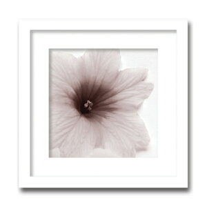 A[gt[ Jk driggs Blossom[Three](ubT/)/CeA z z i G |X^[ A[g A[gpl rO  v[g _ A[gt[  LTCY 