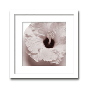A[gt[ Jk driggs Blossom[Four](ubT/)/CeA z z i G |X^[ A[g A[gpl rO  v[g _ A[gt[  LTCY 