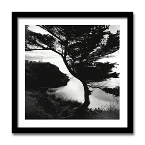 A[gtHg G Micheal Cole }CP R[ Lighthouse(CgnEX/)/CeA  z G |X^[ A[g ۔h M r[` A[gpl rO  v[g tbN 