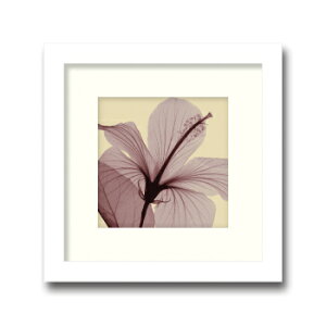 gQA[g G nCrXJX X[/CeA z z i G |X^[ A[g A[gpl rO  v[g _ A[gt[  MTCY 