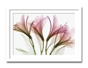 gQA[g G AXgA/S/CeA z z i G |X^[ A[g A[gpl rO  v[g _ A[gt[  3LTCY 