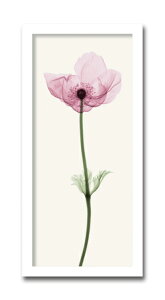 yI|Cg100obNzgQA[g G All1/CeA z z i G |X^[ A[g A[gpl rO  v[g _ A[gt[  L