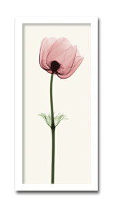 gQA[g G All3/CeA z z i G |X^[ A[g A[gpl rO  v[g _ A[gt[  LLTCY  Ǌ| G