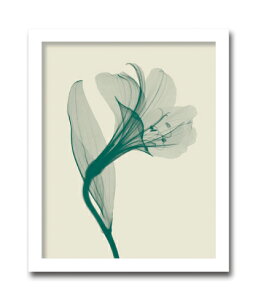 gQA[g G AXgA1/S/CeA z z i G |X^[ A[g A[gpl rO  v[g _ A[gt[  LLTCY 