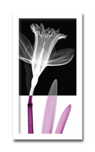 �����g�Q���A�[�g �G�� �X�e��1/�C���e���A �z���� �z���� ���i�� ���G �|�X�^�[ �A�[�g �A�[�g�p�l�� ���r���O ���� �v���[���g ���_�� �A�[�g�t���[�� ���� LL�T�C�Y ������� �Ǌ|�� �G