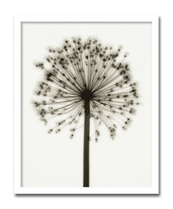 yI|Cg100obNzgQA[g G AE/CeA z z i G |X^[ A[g A[gpl rO  v[g _ A[gt[  4L