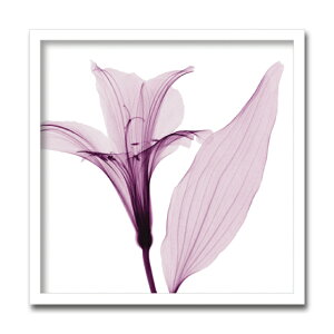 gQA[g G AXgA3/S/CeA z z i G |X^[ A[g A[gpl rO  v[g _ A[gt[  3LTCY 