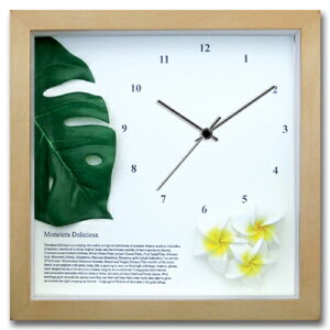 v Ǌ| Xe/vA(YE)/NA/|v uv EH[NbN CeA Ǌ|  Mtg v[g Vzj   킢 A[g STCY