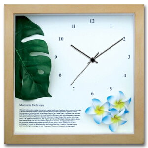 v Ǌ| Xe/vA(BL)/NA/|v uv EH[NbN CeA Ǌ|  Mtg v[g Vzj   킢 A[g STCY