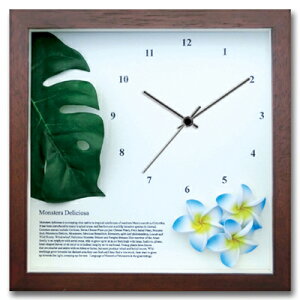 v Ǌ| Xe/vA(BL)/BR/|v uv EH[NbN CeA Ǌ|  Mtg v[g Vzj   킢 A[g STCY