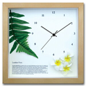 v Ǌ| U[t@[/vA(YE)/NA/|v uv EH[NbN CeA Ǌ|  Mtg v[g Vzj   킢 A[g STCY