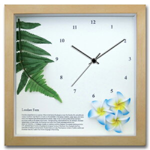 yI|Cg100obNzv Ǌ| U[t@[/vA(BL)/NA/|v uv EH[NbN CeA Ǌ|  Mtg v[g Vzj   킢