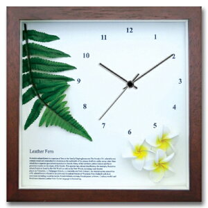 v Ǌ| U[t@[/vA(YE)/BR/|v uv EH[NbN CeA Ǌ|  Mtg v[g Vzj   킢 A[g STCY