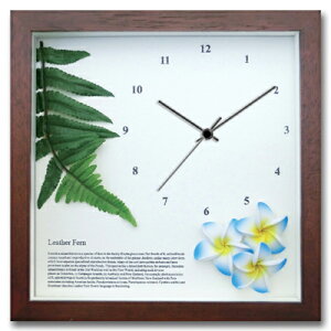 v Ǌ| U[t@[/vA(BL)/BR/|v uv EH[NbN CeA Ǌ|  Mtg v[g Vzj   킢 A[g STCY