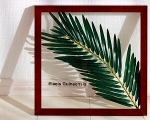 yI|Cg100obNz[tpl G MjAAuV/CeA tFCNO[ z蕗i |X^[ A[gpl rO  v[g _ A[gt[ 