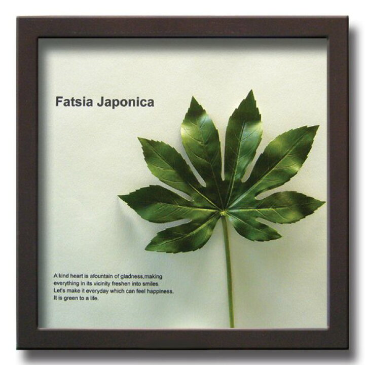 楽天市場】リーフパネル 絵画 ヤツデ/インテリア 壁掛け 額入り 額装込 