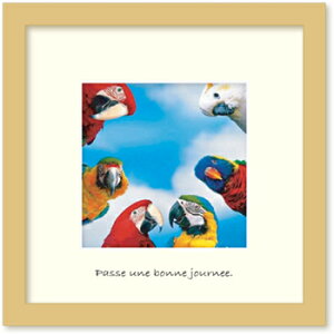 �A�[�g�t���[�� �䂤�p�P�b�g FIRSTLIGHT �t�@�[�X�g���C�g Meeting in color(�~�[�e�B���O �C�� �J���[)/�z���� �z���� ���i�� �G�� �A�[�g ���r���O ���� �g�C�� �C���e���A ���킢�� �Ǐ��� ���₵