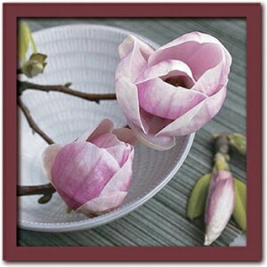 A[gt[ Catherine BEYLER Magnolias on a bowl(}OmA I {E/}OmAƂ)/z G A[g rO  gC CeA 킢 Ǐ ₵ v[g Mtg A