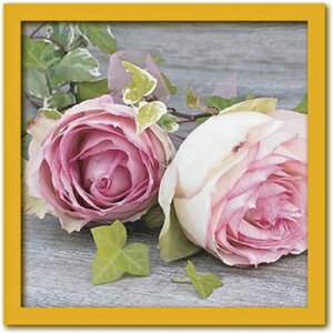 yI|Cg100obNzA[gt[ Catherine BEYLER Roses([[X/o)/CeA z z i G |X^[ A[g A[gpl rO  v[g _ A[g
