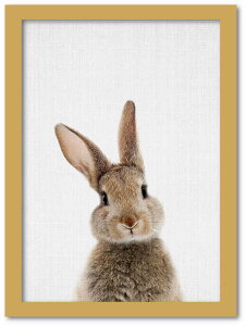 A[gt[ Aj} `h V[Y rbg(ETM) i`t[ 䂤pPbg STCY z Vv CeA A[g  G  Ǌ| G