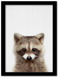 楽天市場 ラクーン 動物 画像の通販
