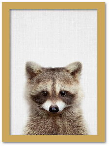 A[gt[ Aj} `h V[Y N[(^kL) i`t[ 䂤pPbg STCY z Vv CeA A[g  G  Ǌ| G