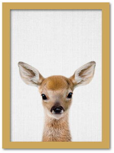 A[gt[ Aj} `h V[Y fBA[(VJ) i`t[ 䂤pPbg STCY z Vv CeA A[g  G  Ǌ| G