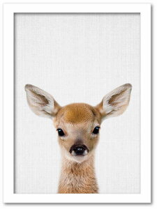 yI|Cg100obNzA[gt[ Aj} `h V[Y fBA[(VJ) zCgt[ 䂤pPbg STCY z Vv CeA A[g  G  