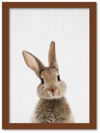 アートフレーム アニマル チルドレン シリーズ ラビット(ウサギ) ブラウンフレーム Mサイズ 額入り シンプル インテリア アート 入門 絵画 おしゃれ 壁掛け 絵